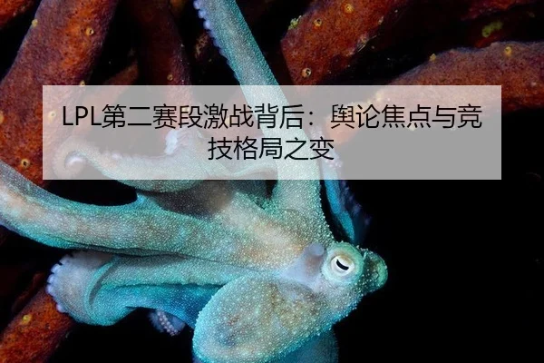 LPL第二赛段激战背后：舆论焦点与竞技格局之变
